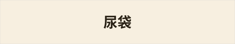 尿袋粤语什么意思、例句及详细解释