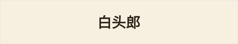 白头郎粤语什么意思、例句及详细解释