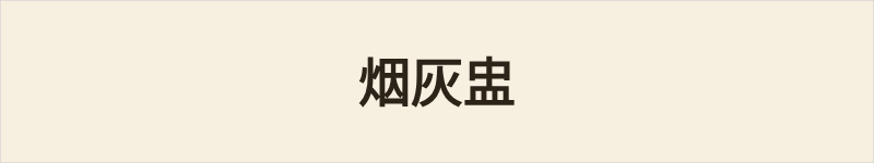 烟灰盅粤语什么意思、例句及详细解释