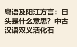 粤语及阳江方言：日头是什么意思？中古汉语双义活化石